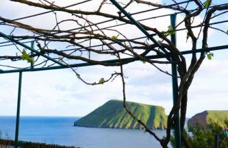 Casa da Avó Couta - Photo 6