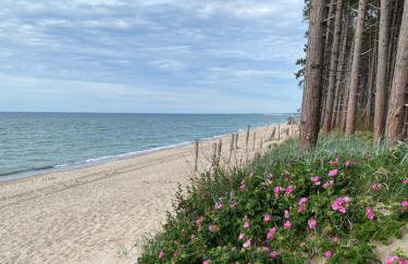 Między Falami - Foto 33