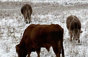 Ca Solleta, casa de montaña a 20 min de la Peülla, Vaqueira-Beret - Foto 36