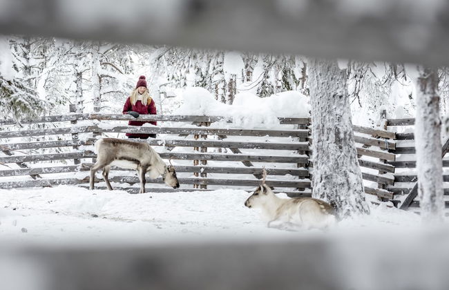 Ski-Inn PyhäSuites - Foto 33