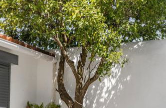 Amber and Rust Estremoz City House - Foto 6