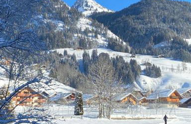 La Joly - ChaletYap - Photo 20