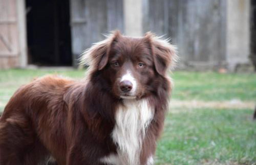 Siedlisko nad Łąkami - Foto 28