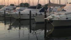 Stella marina - Photo 3