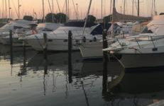 Stella marina - Photo 3