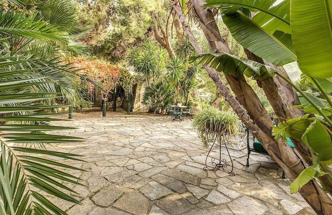 Green Coral - Foto 31