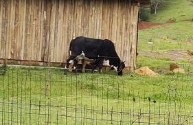 Pousada Rancho do Lago - Foto 40