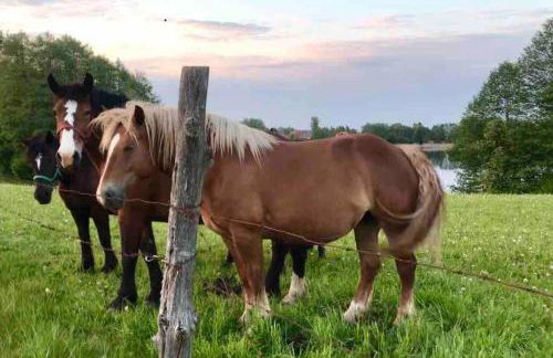 Zakątek na Mazurach II - Foto 42