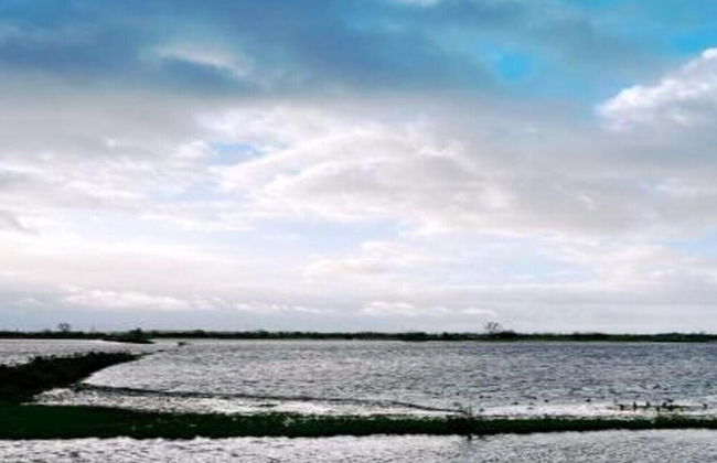 Cozy Boat in Merkem Near Lake - Foto 36