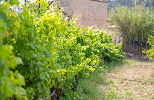 Son Sant Joan - Photo 20