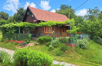 Kokotova hiža - Photo 9