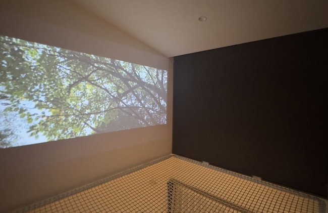 Rakuten STAY VILLA Hakone Sengokuhara - Foto 26