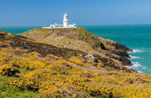 1 Bed in Goodwick FB158 - Photo 12