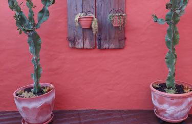 Alte Com Amor - Photo 29