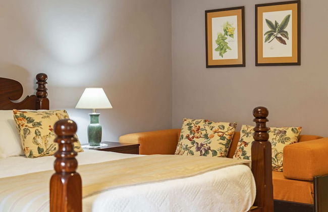 In Laurissilva Forest, Casa do Lanço -carvalho - Foto 6