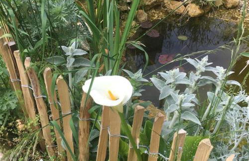 Gîte XIXè de charme à Candes-St-Martin avec jardin clos - FR-1-381-612 - Foto 31