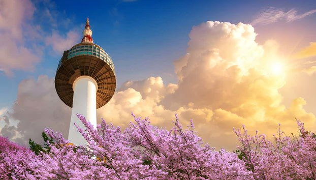 A vista da Torre ao entardecer