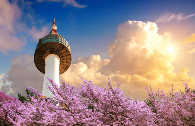 Ingresso da Torre de Seul - Foto 3