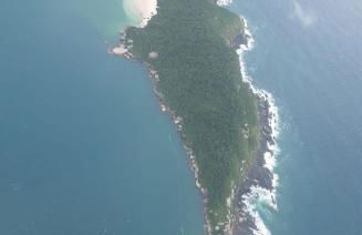 Apartamento na Praia do Campeche - Photo 4