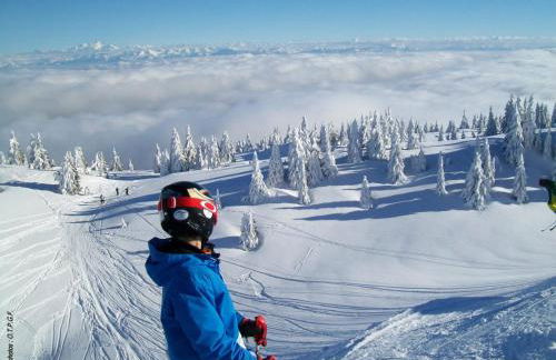 GITE DE MONTAGNE "LE CALOU" AVEC CHEMINEE ET JACUZZI situé à St Laurent-en-Grandvaux - Foto 26