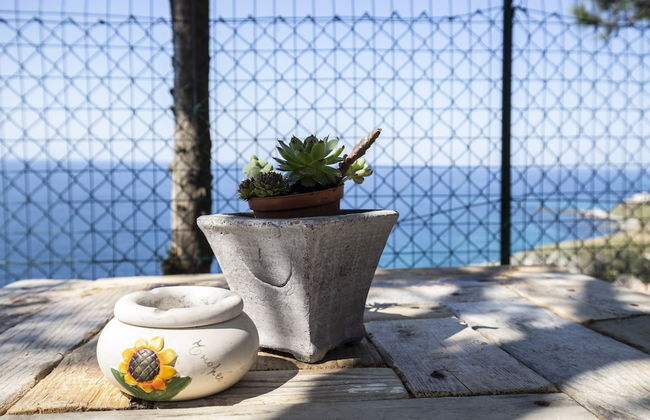 Ville Pini e Aurelia - Foto 26