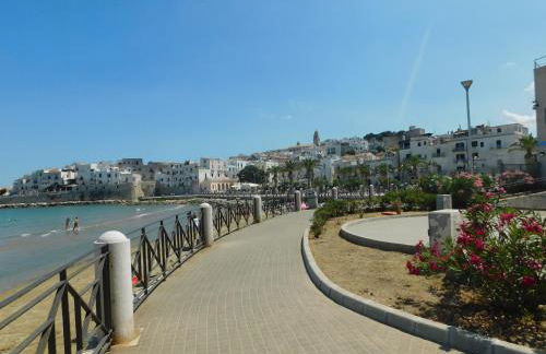 Appartamenti Luce Vieste - Foto 35