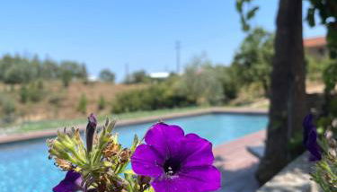 Vale das Maias - Casa de Campo - Foto 2