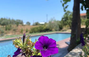 Vale das Maias - Casa de Campo - Photo 2