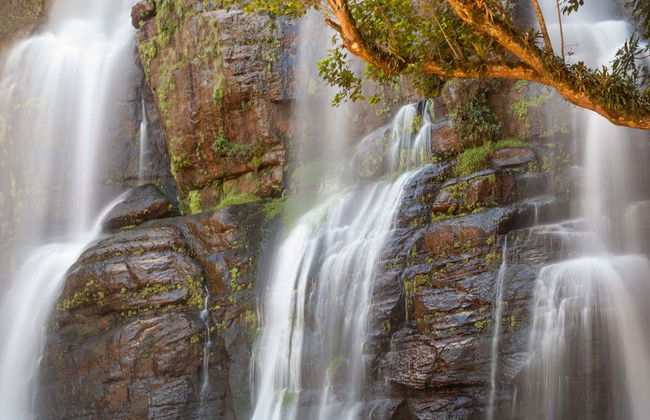 Castro & Guartelá Canyon Tour - Photo 7