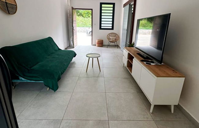 Les Hauts du Fort - Foto 8