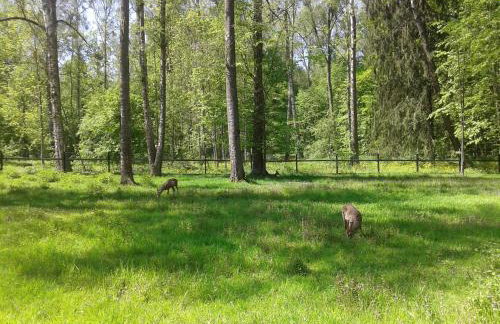 Cztery Pory Roku - Foto 62
