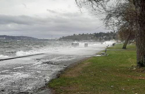 Alki Beach Cottage, NEW, 2 bedrooms, 2 bathrooms, near beach, AC, WD, Parking - Foto 75