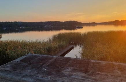Mecklenburgische Seenplatte - FH mit optionalem Steg und Ruderboot - Foto 27