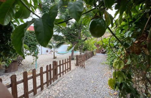 Finca la Tajea - Foto 25