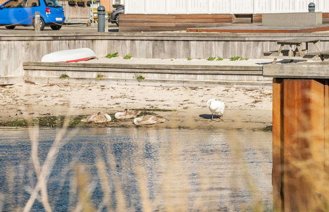 "Joar" - 5m to the fjord - Foto 5