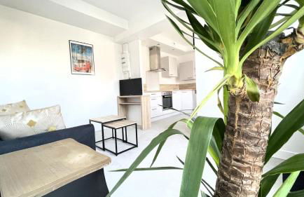 STRASBOURG CENTRE HISTORIQUE Accès direct en Tram et Aéroport - Foto 2