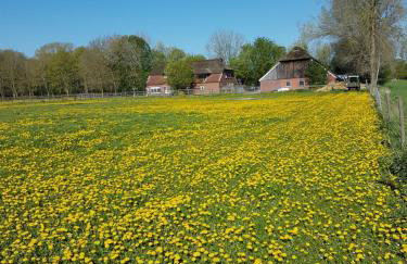 Ferienhof-Stoertebeker - Foto 16