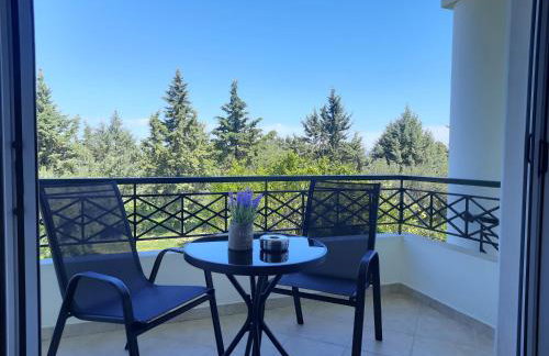 Bright New Garden - Foto 9