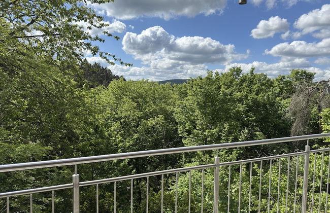 Ferienhaus Sackpfeifenblick, Hatzfeld - Foto 42