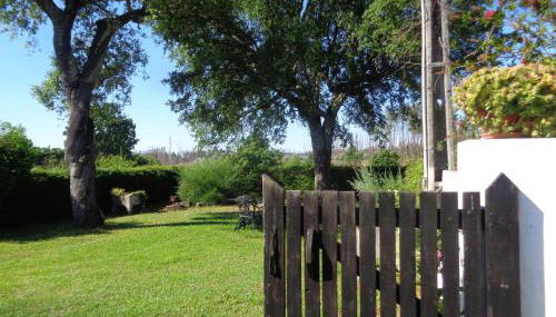 Sossego - Foto 5, Garden