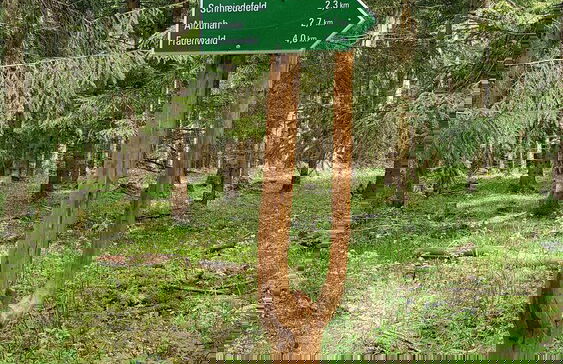 Ferienhaus Victoria - Foto 21