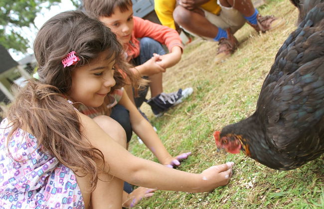 VVF Normandie Forges-les-Eaux - Foto 34