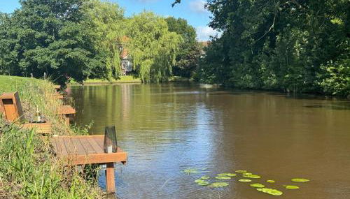 Zweite Heimat - Foto 3, Garden