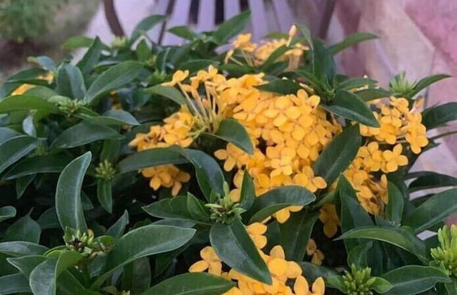 Baan Dear Home Stay - Photo 17