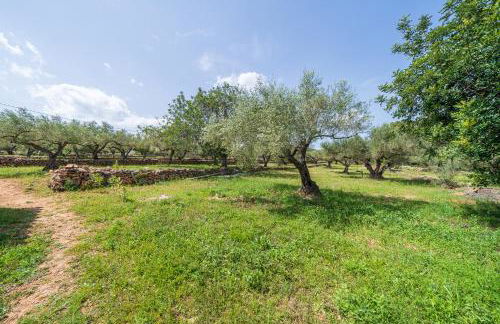 Casa en olivera a 3 km de la costa - Foto 27