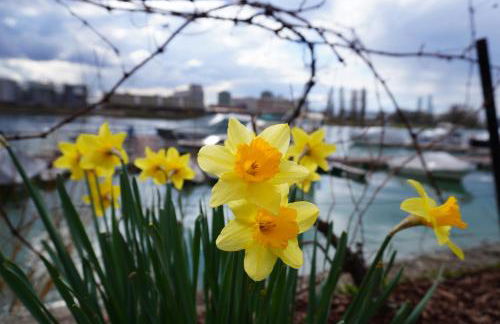 Casa Ländli - Foto 26