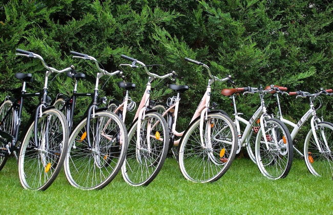 Enticing Holiday Home in Brtonigla with Hot Tub - Photo 34