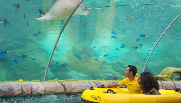 Aquatica San Antonio Ticket - Photo 3