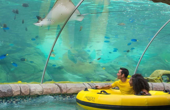 Billet pour Aquatica San Antonio - Photo 3