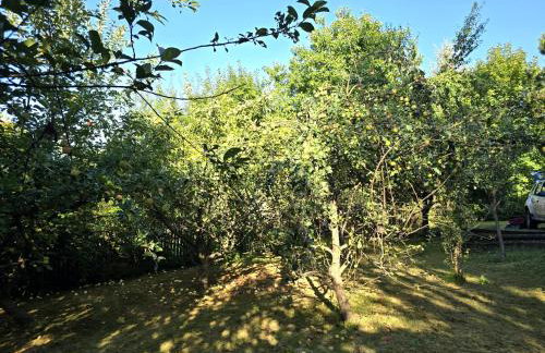 Domek pod Wiewiórką digital detox & balance - Foto 12